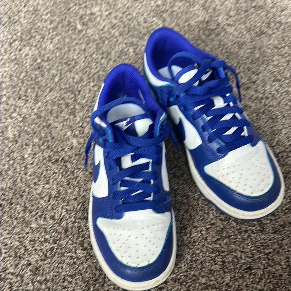 Nike Kids Royal Blue and White Sneakers